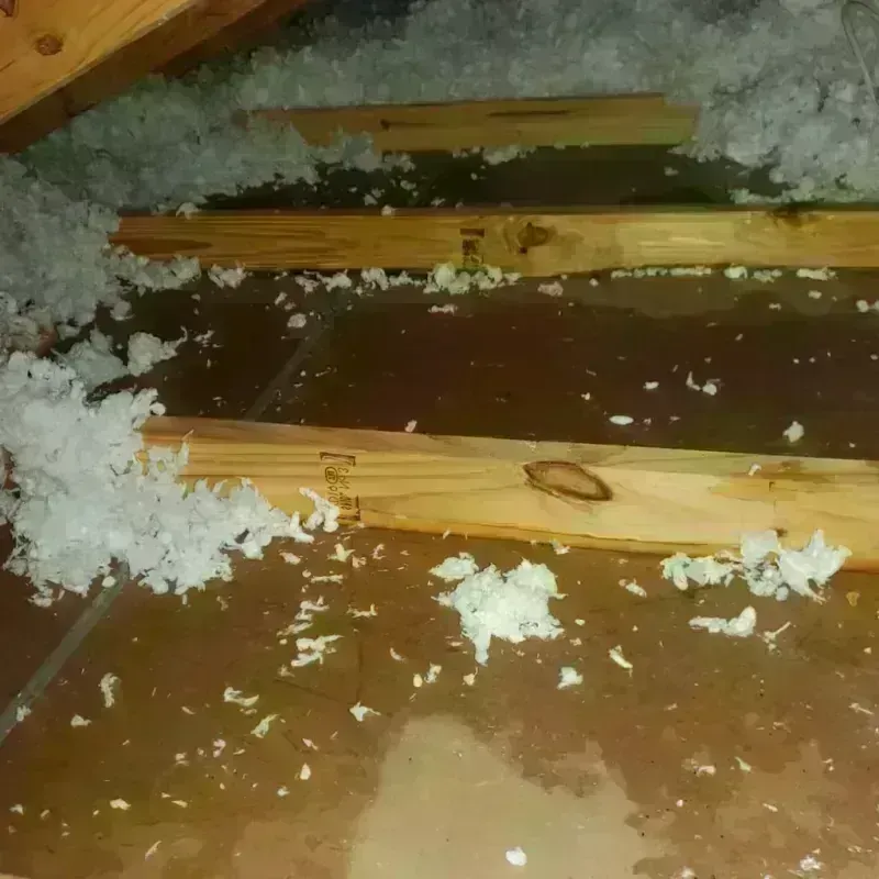 Attic Water Damage in Pottsville, AR